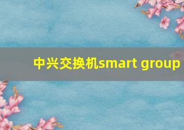 中兴交换机smart group